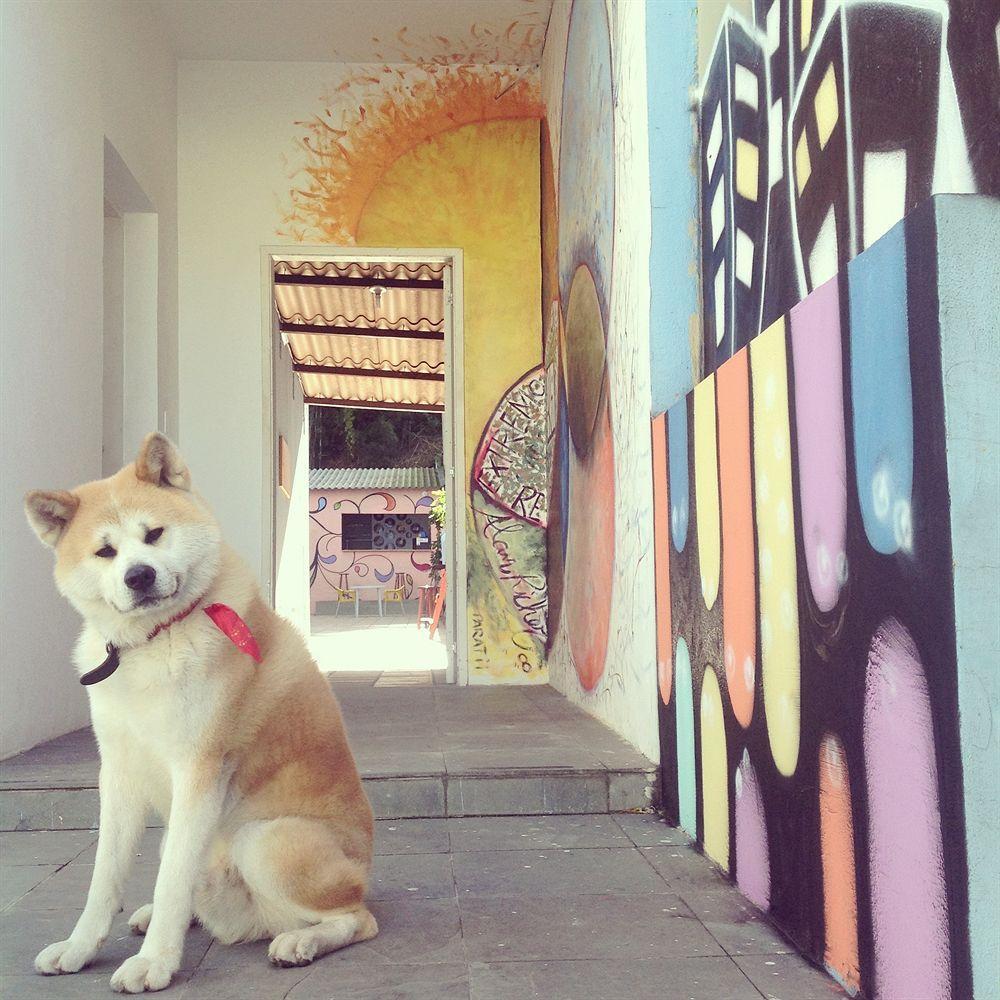 The Connection Hostel เซาเปาโล ภายนอก รูปภาพ